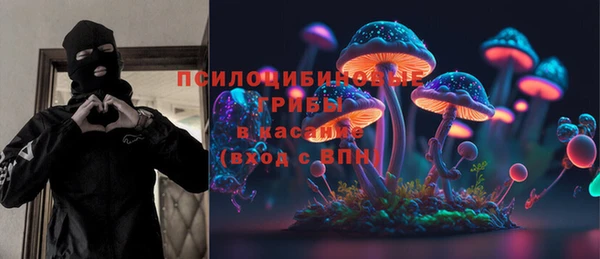 ПСИЛОЦИБИНОВЫЕ ГРИБЫ Струнино