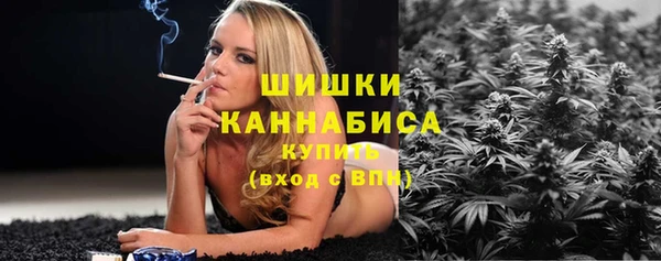 ПСИЛОЦИБИНОВЫЕ ГРИБЫ Струнино
