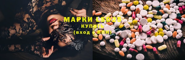 ПСИЛОЦИБИНОВЫЕ ГРИБЫ Струнино