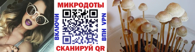 Галлюциногенные грибы прущие грибы купить наркотик Ессентукская